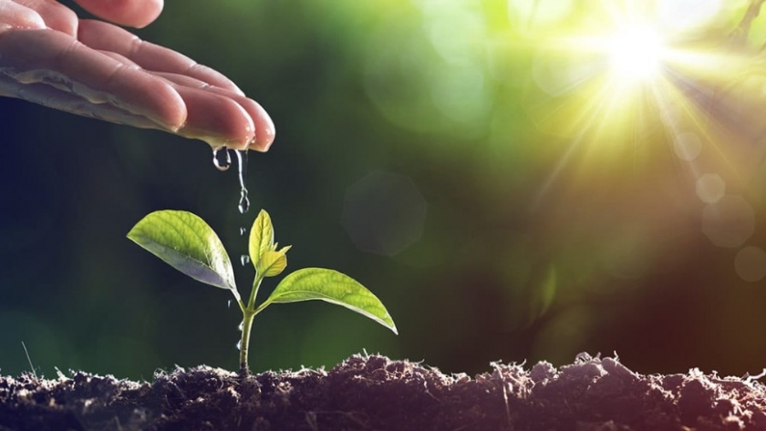 Agricultura regenerativa con el innovador concepto Eggmobile