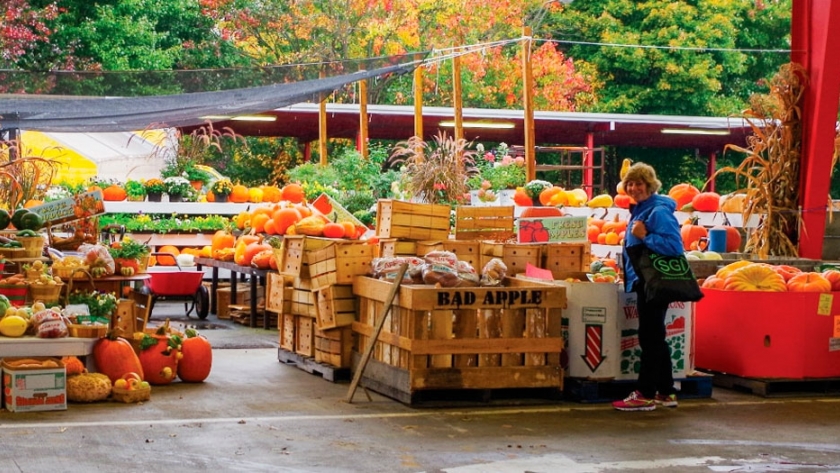 Los mercados regionales de Carolina del Norte 