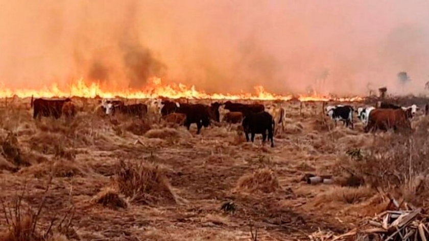 Los propietarios rurales son potenciales delincuentes, según la actual ley de manejo del fuego