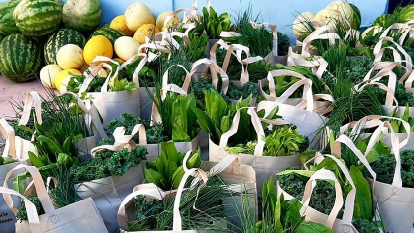 Alimentos sanos y frescos para consumir en cuarentena