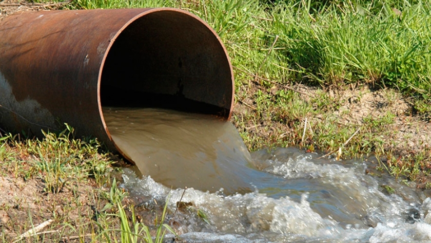 Efluentes industriales: identificaron una bacteria que puede eliminar el cromo