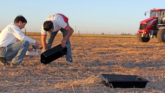 Fertilizar más y cobrar menos impuestos: la propuesta que promete generar 40 mil empleos en el agro