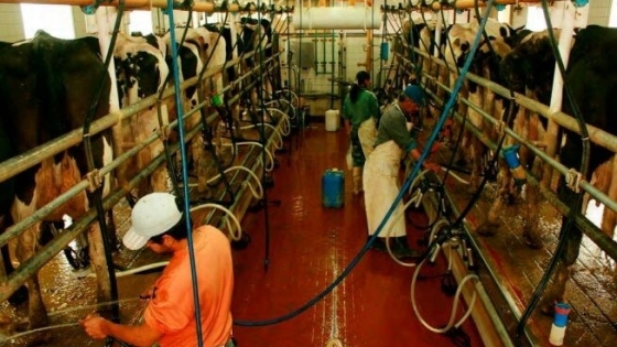 Crisis láctea: los tambos cerraron 2023 con una pérdida mensual de $ 62.000 millones