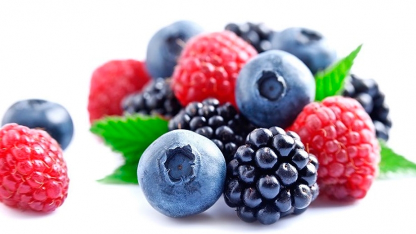 Innovación: Usan tecnología CRISPR para desarrollar nuevas variedades de berries
