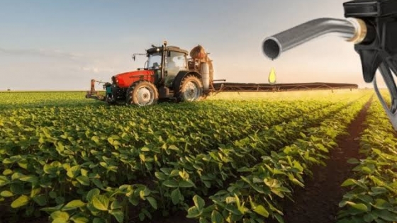Corte de biodiésel: pymes y aceiteras discrepan por la nueva ley