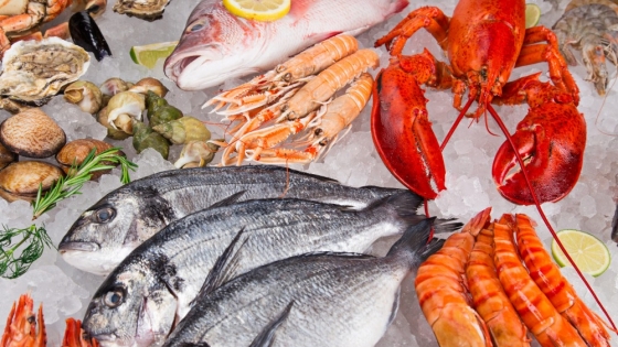 Global demand for seafood is soaring but how well funded are aquatic food tech startups?