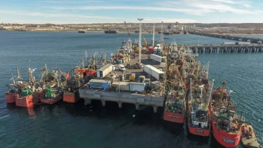 Informe de coyuntura muestra caída en las descargas de pescados en los puertos del litoral marítimo argentino
