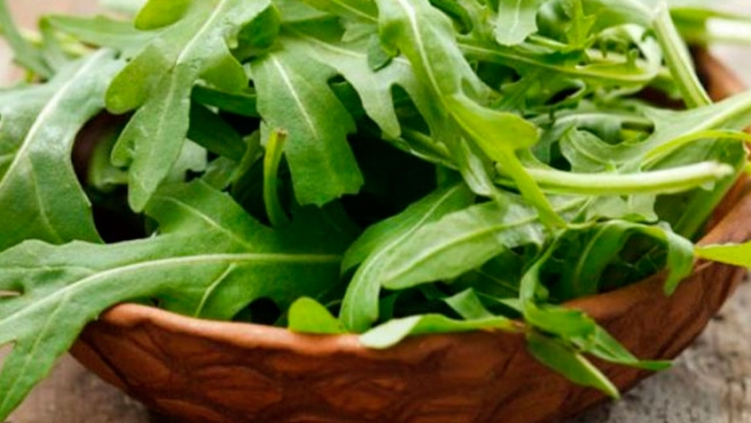 Cómo cultivar rúcula en casa