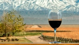 Cuatro bodegas imperdibles para disfrutar de la gastronomía mendocina