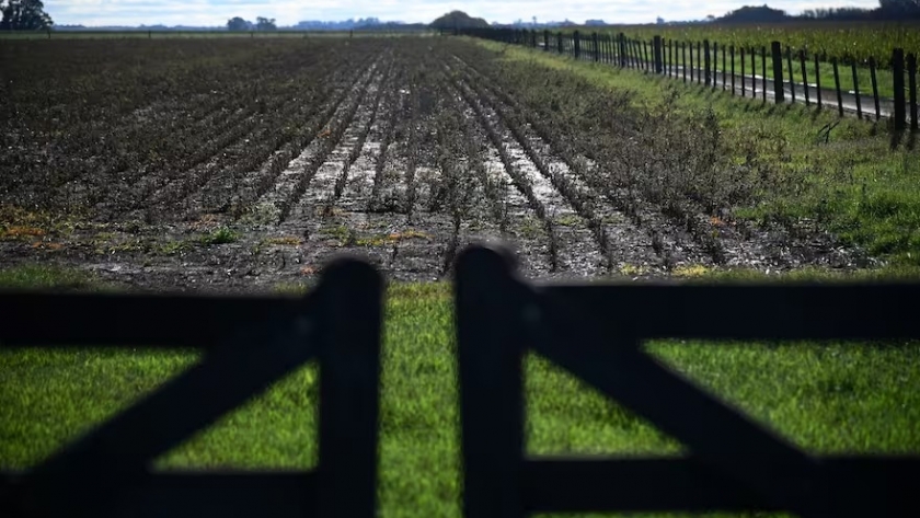 La carrera de obstáculos para llegar a una primera meta: 150 millones de toneladas