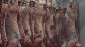 Paraguay en el top cinco mundial de los países que más carne bovina exportan por habitante