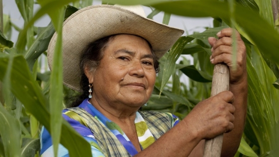 El Gobierno facilita herramientas para que mujeres agricultoras de Payogasta y Cachi mejoren su productividad