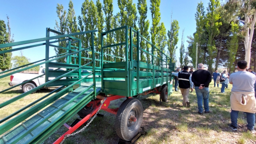 Nuevo bañadero móvil en Chubut para mejorar la sanidad ovina