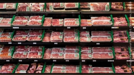 La industria porcina en encrucijada: Expansión en exportaciones y desafíos domésticos