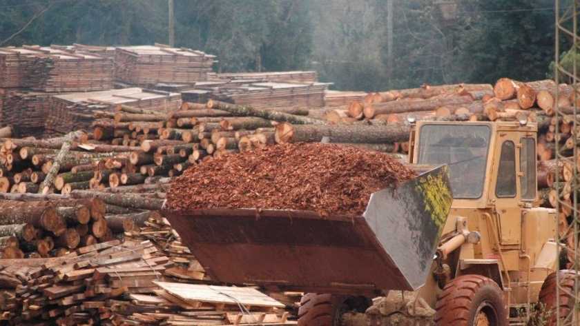 La industria de base forestal