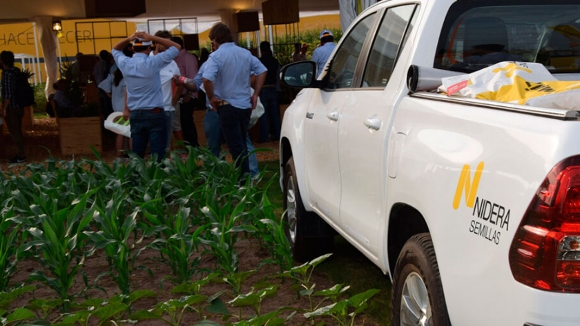 El nuevo trigo de Nidera fue la gran novedad en semillas de Expoagro