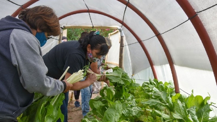 Más de 150 familias de la Provincia acceden a capacitaciones para producir sus alimentos