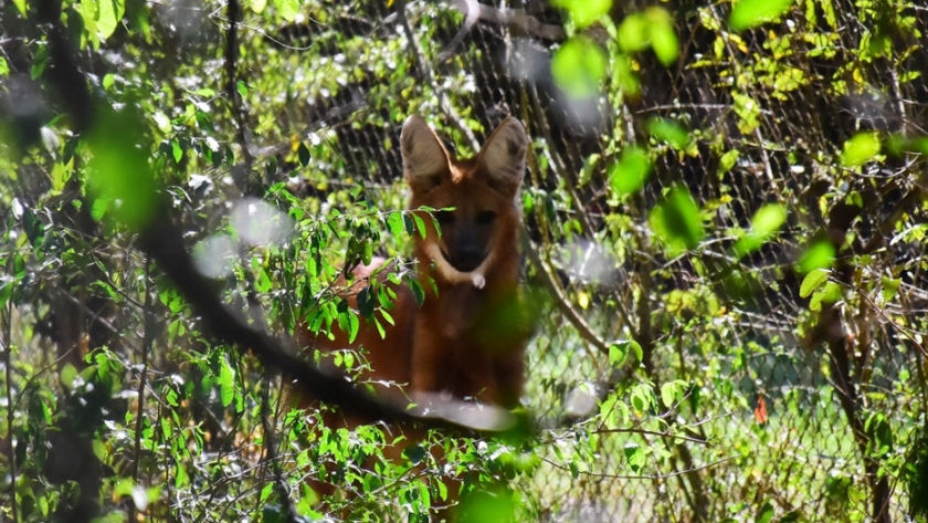 Formosa posiciona a Guaycolec como una propuesta con potencial turístico y ambiental