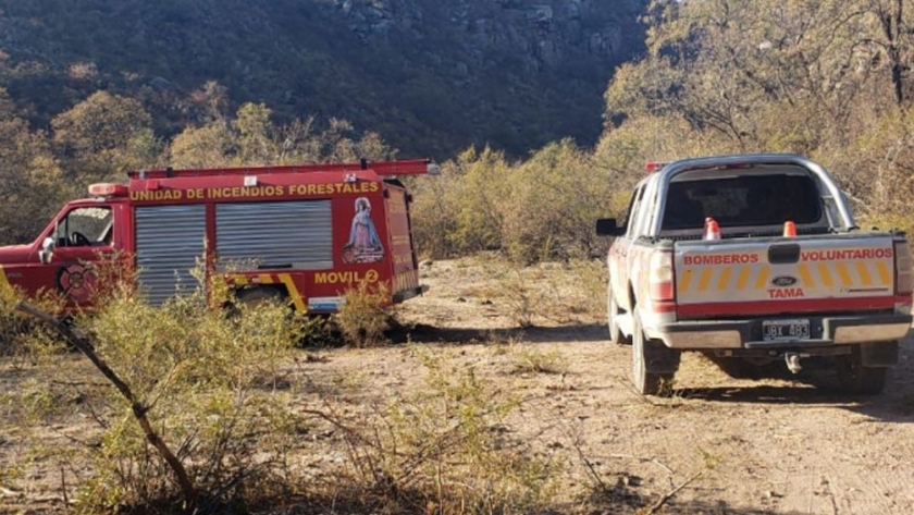 Alto riesgo de incendios forestales: la provincia está en alerta amarilla