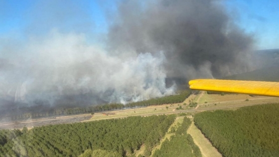 El Gobierno nacional homologó la emergencia forestal para once departamentos correntinos por los incendios rurales