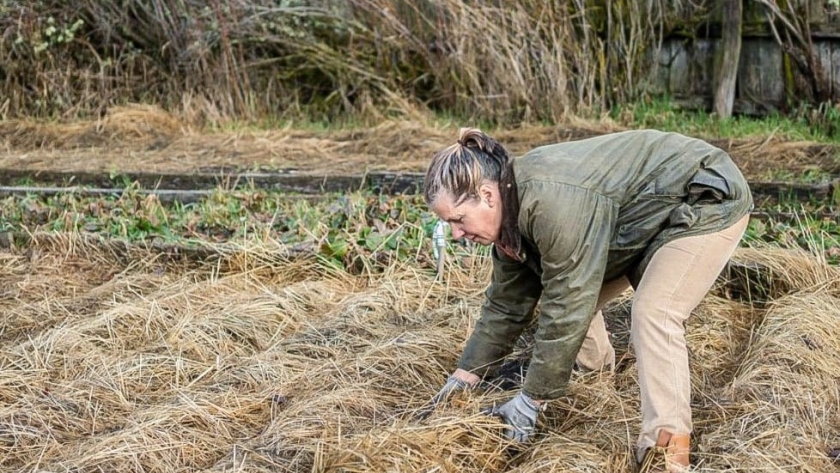 El programa Producción Orgánica en Tierra del Fuego fue seleccionado finalista