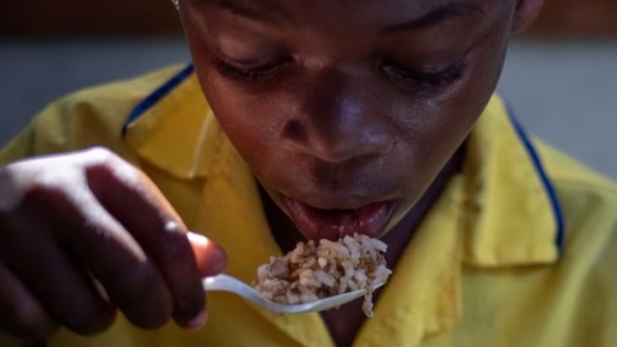 Exportaciones de arroz de EEUU. a Haití: Un peligro para la salud pública