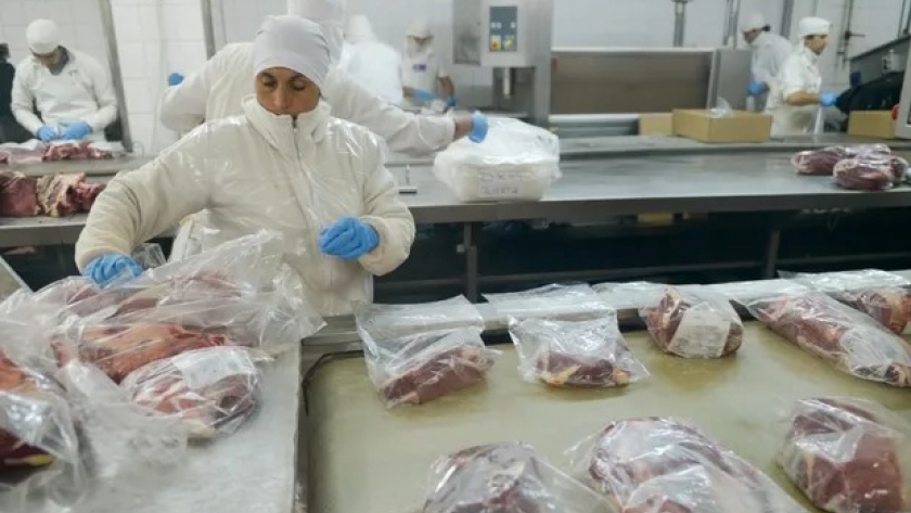 Se abre un nuevo negocio para la carne argentina en China con valores que rondan los 5000 dólares