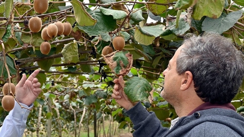 El Gobierno invertirá U$S 800.000 para impulsar clusters productivos exportadores