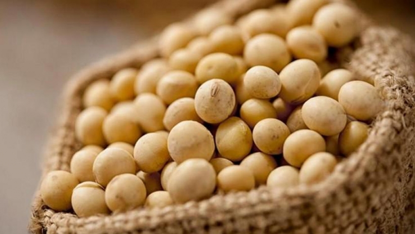 Fuerte demanda de alimentos balanceados en China