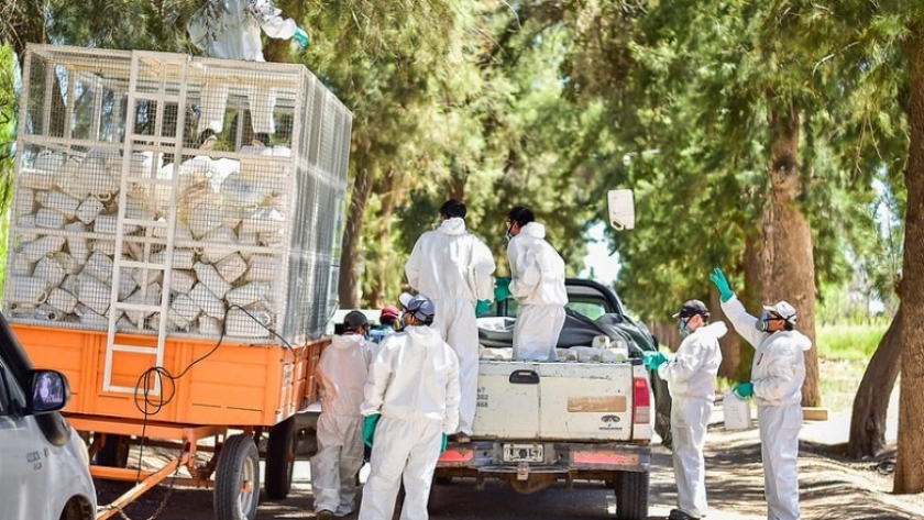 Se viene la VI campaña de recepción de envases vacíos de fitosanitarios