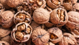 Mendoza: Invierten USD 5 millones para duplicar la producción de nueces destinadas a la exportación