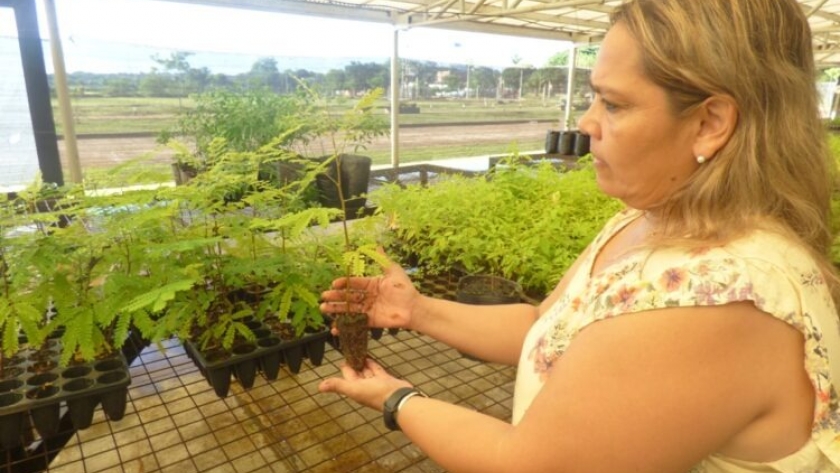 Destacada labor de la UNaM en la promoción y preservación de la biodiversidad en Posadas