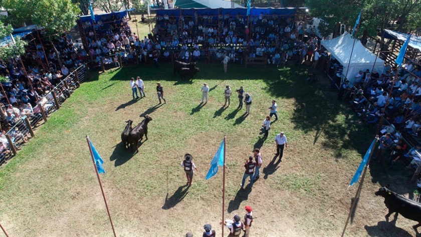 Más de 1000 animales desfilarán en la Nacionales de Corrientes