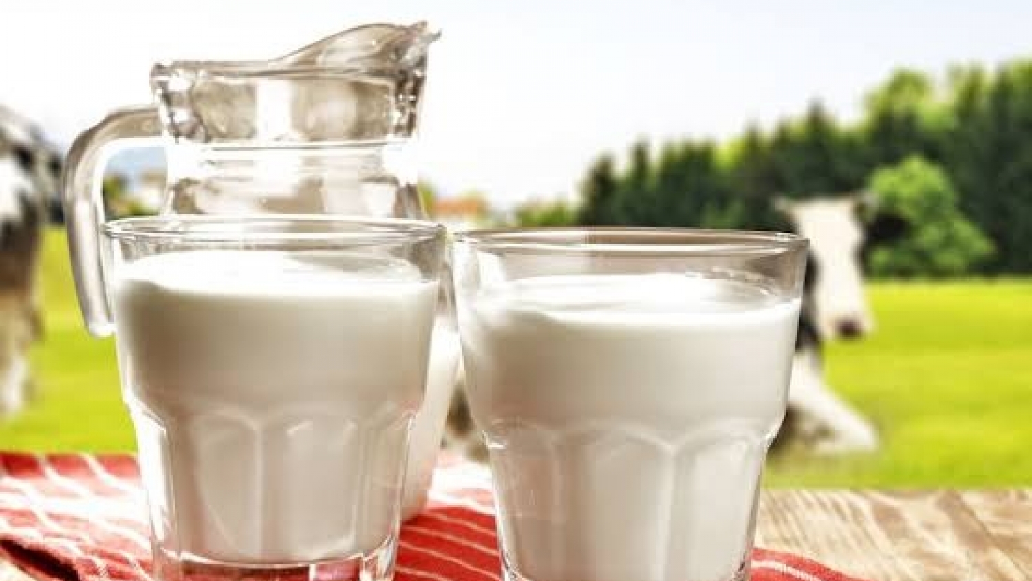 Producción láctea: crecen la calidad, el consumo y las exportaciones