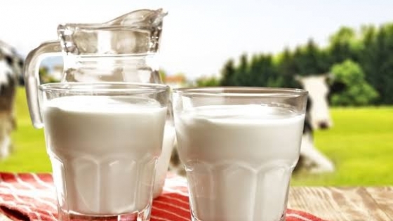 Producción láctea: crecen la calidad, el consumo y las exportaciones