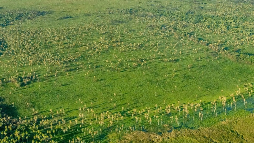 El Parque Nacional Iberá cumple cinco años desde su creación