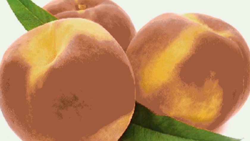 Productores de durazno mejoran la calidad de sus frutos