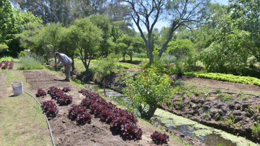 La Secretaría de Agricultura lanzó una nueva edición del Programa CoopAr por $ 3.000 millones