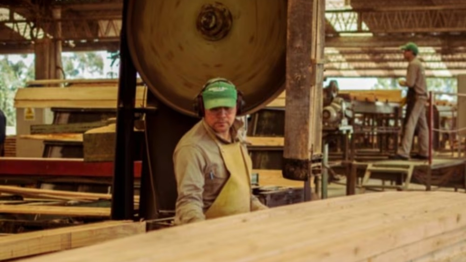 La industria forestal prepara una ola de inversiones millonarias para volver a competir en el mercado global