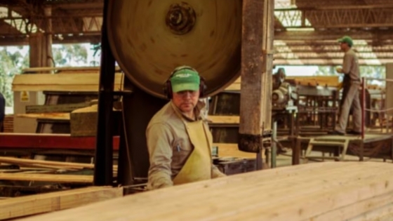 La industria forestal prepara una ola de inversiones millonarias para volver a competir en el mercado global