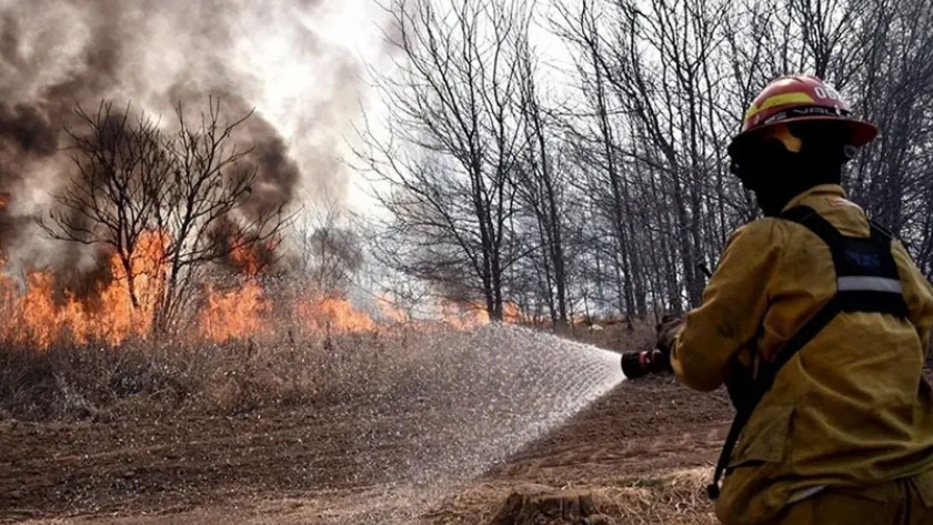 Reunión para afianzar el plan integral de protección forestal con eje en la prevención y trabajo coordinado