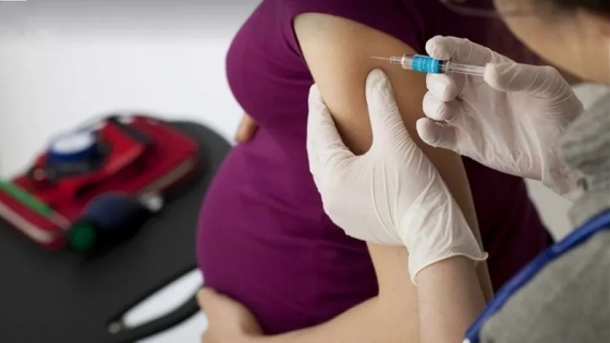 Campaña de vacunación contra el Virus Sincicial en embarazadas: protección clave para recién nacidos
