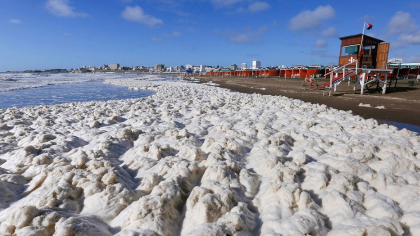 La explicación científica de la espuma que se formó en las costas de Mar del Plata