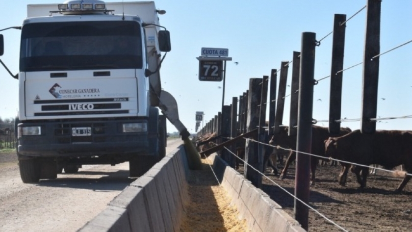 ¿Quién es el Grupo Conecar? Uno de los feedlot más grandes y profesionales de la Argentina, con base en la santafesina Carcarañá