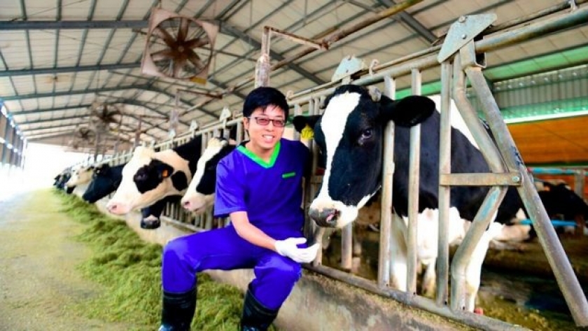 En 20 años China triplicó su producción láctea