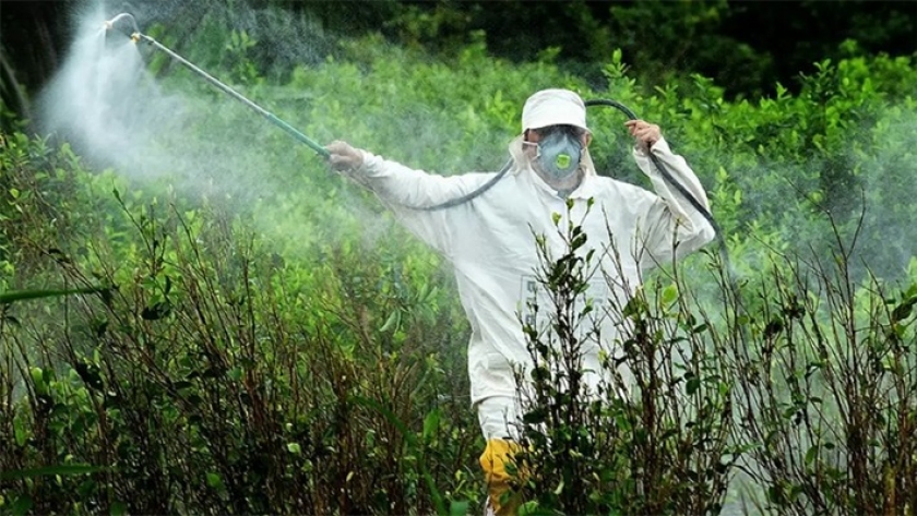 Rechazan la prohibición del glifosato en Misiones