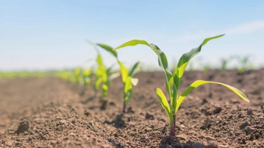 Impacto de la agricultura en los suelos del NOA y NEA