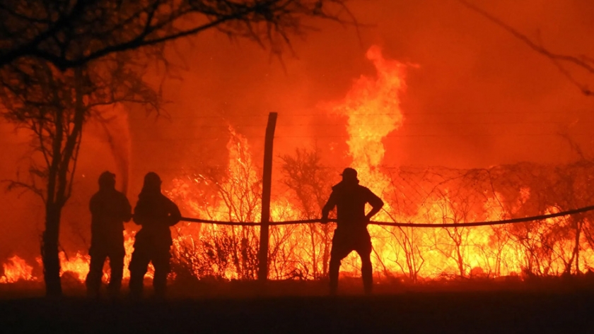 "Destrucción total": por que los incendios arrasan América del Sur