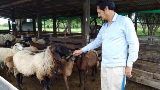Producción cooperativa de ovinos en zonas “no tradicionales”