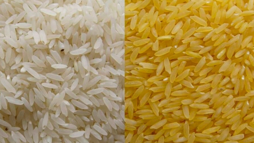El arroz modificado genéticamente que combatiría la ceguera